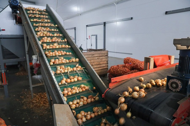 В современные комплексы по подработке и хранению овощей, построенные в хозяйстве, можно закладывать до 22 000 тонн овощей.
