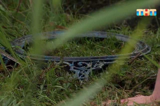 Неужели, во всём виновато зеркало?