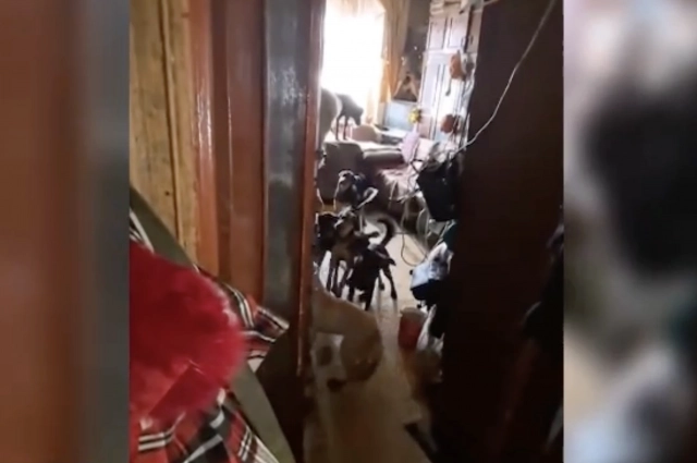 В 2023 году, когда ситуация не улучшилась, жильцы вновь забили тревогу.