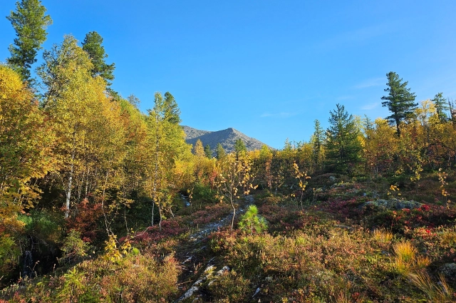 Плато Тулымского камня — любимое место Павла Бахарева. 