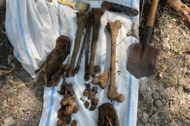 Кликните, чтобы развернуть.