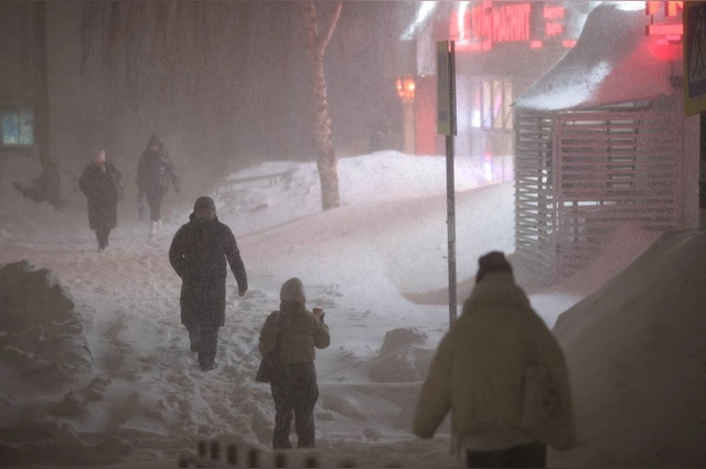 Поиски не останавливаются даже в сильный снегопад.