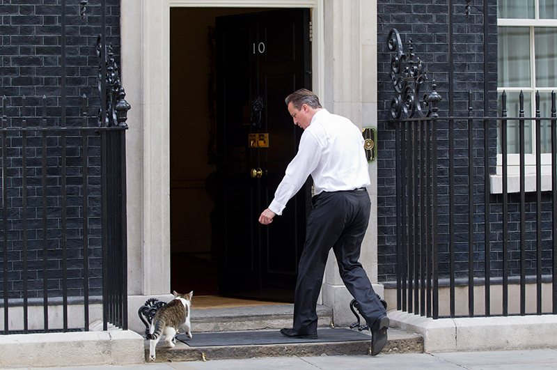 Кот-крысолов Ларри и британский премьер Дэвид Кэмерон