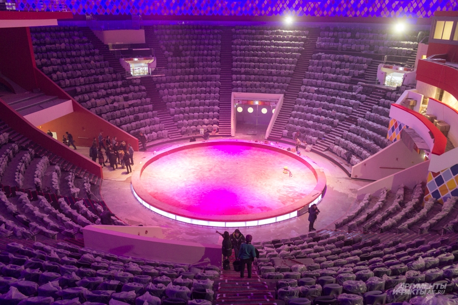 Медведица, привыкшая к размеренному ритму выступления, испугалась резкого звука.