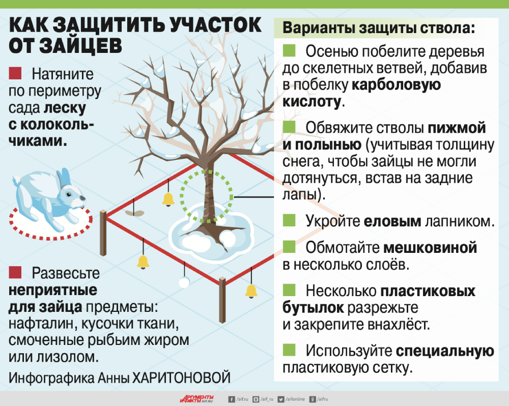 Время тёплых грядок. Можно ли использовать для их создания осеннюю листву?  | Аргументы и Факты