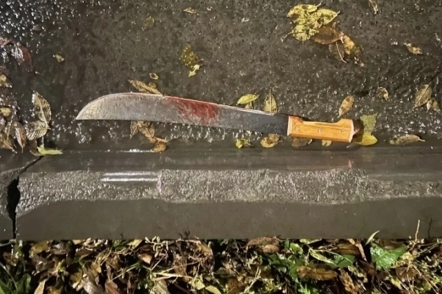 С этим оружием мужчина напал на бывшую жену и её возлюбленного.