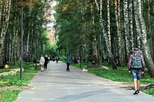 Большую часть парка успели сделать.