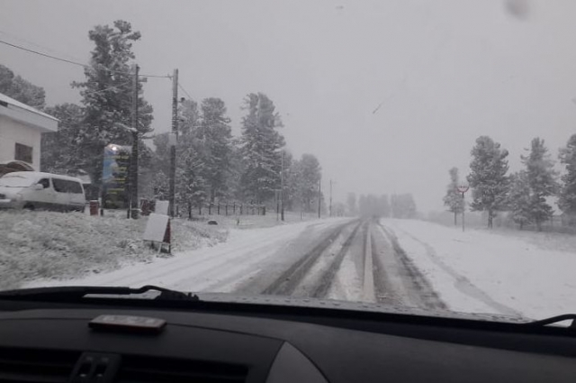 В Республике Алтай выпал снег