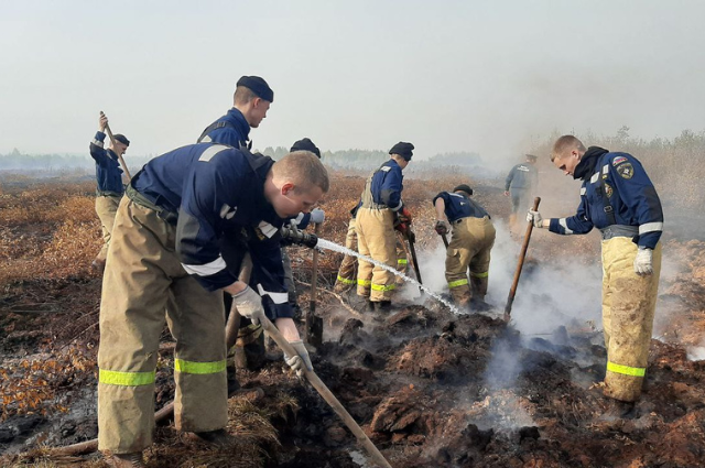 Торфяной пожар под Сысертью ликвидируют более двухсот сотрудников МЧС