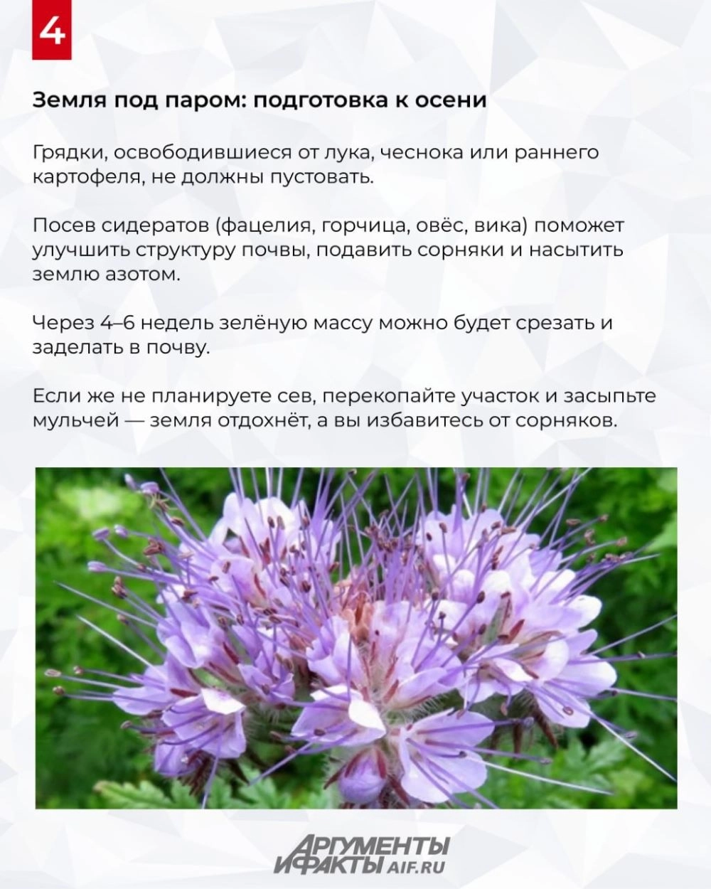 Нажмите для увеличения
