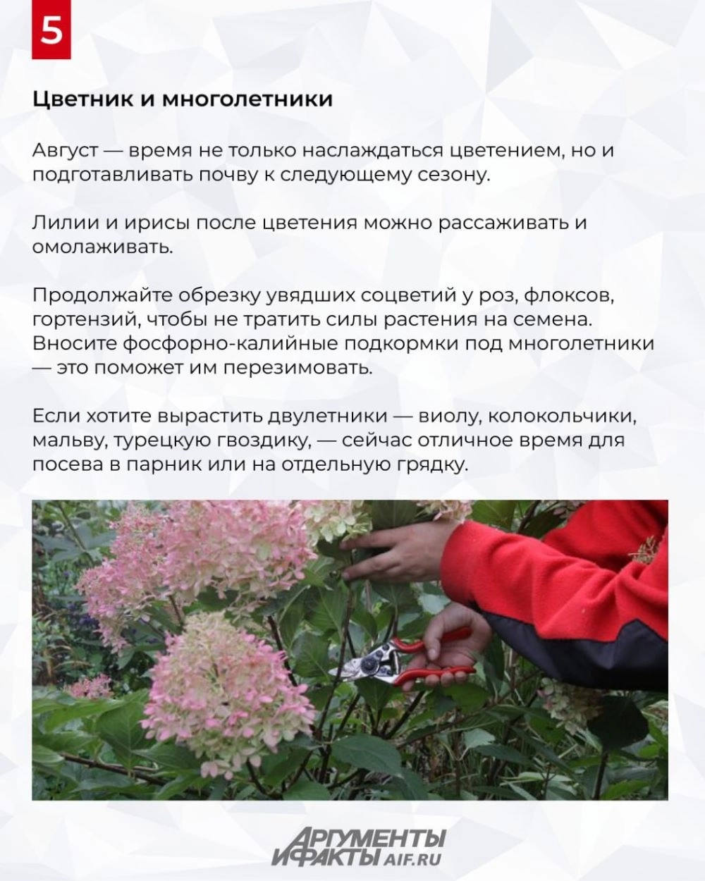 Нажмите для увеличения