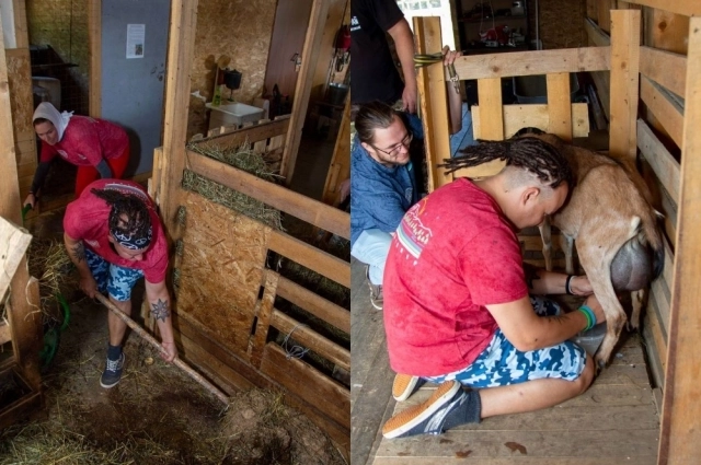 Во время испытаний приходилось доить козу и убирать навоз.