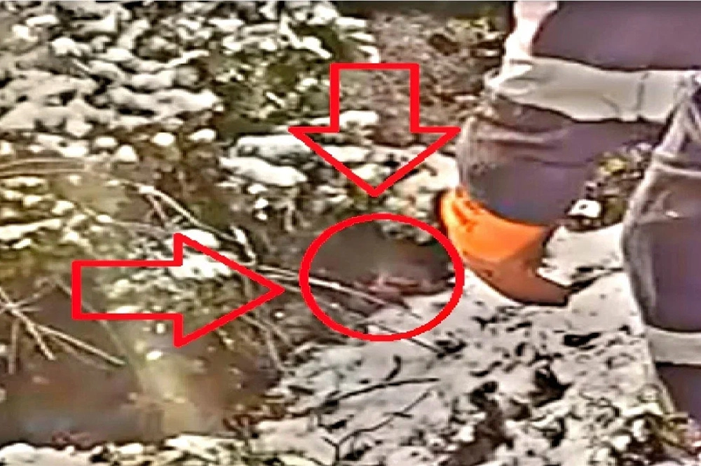 Справа от первого в цепочке спасателя яма, что-то вроде щели в скале и в ней я заметил что-то странное.