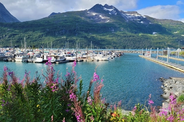 Летом на Аляске очень красиво.