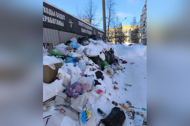 Из-за обильного снегопада из некоторых дворов не могут вывезти мусор.