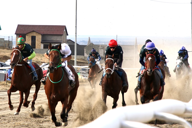 Скачки - это круто! 