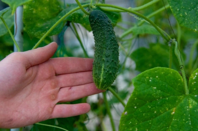 То есть дело не только в сезонности?