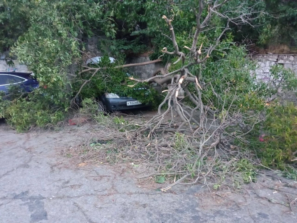 Шесть автомобилей в Ялте получили повреждения