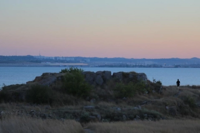 Мирмекий изучают уже почти 200 лет.