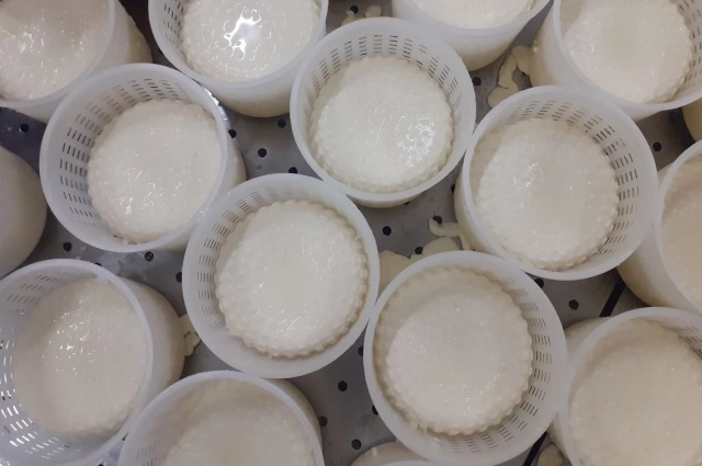 Камамбер формируется в специальных пластиковых емкостях