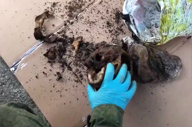 Тело «Сундука» раскопали совсем недавно.