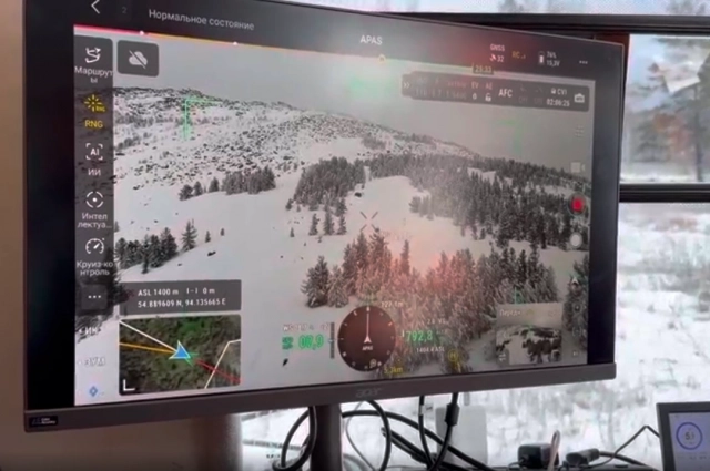 Волонтеры оценили масштаб поисков с высоты птичьего полета.