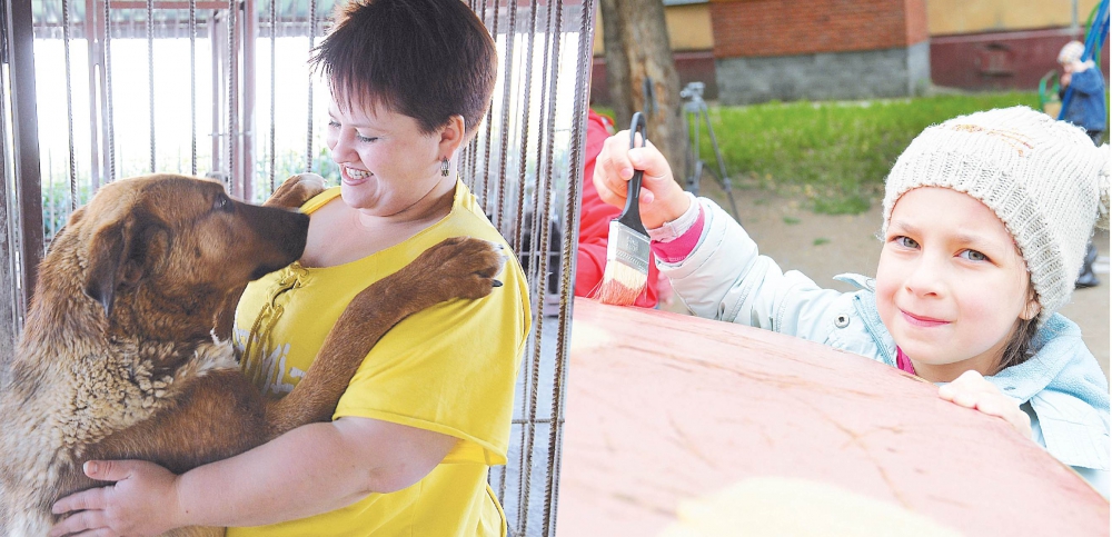 Чем только не занимаются омские активисты: и бездомным животным выжить помогают, и дворы своими руками облагораживают.