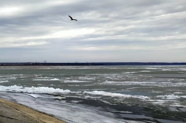 Обское море.