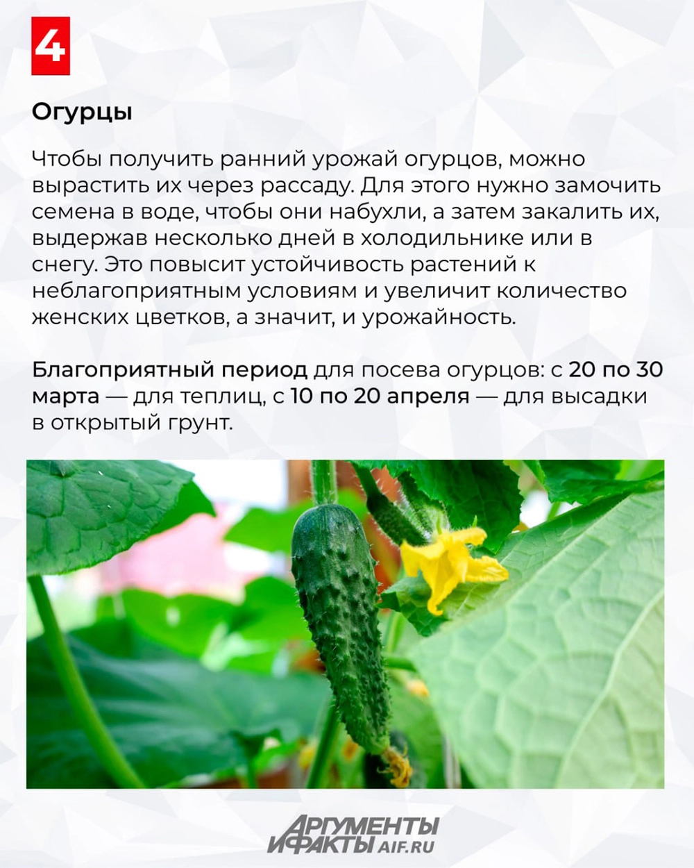 Нажмите для увеличения