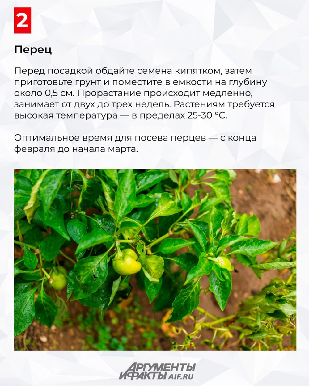 Нажмите для увеличения