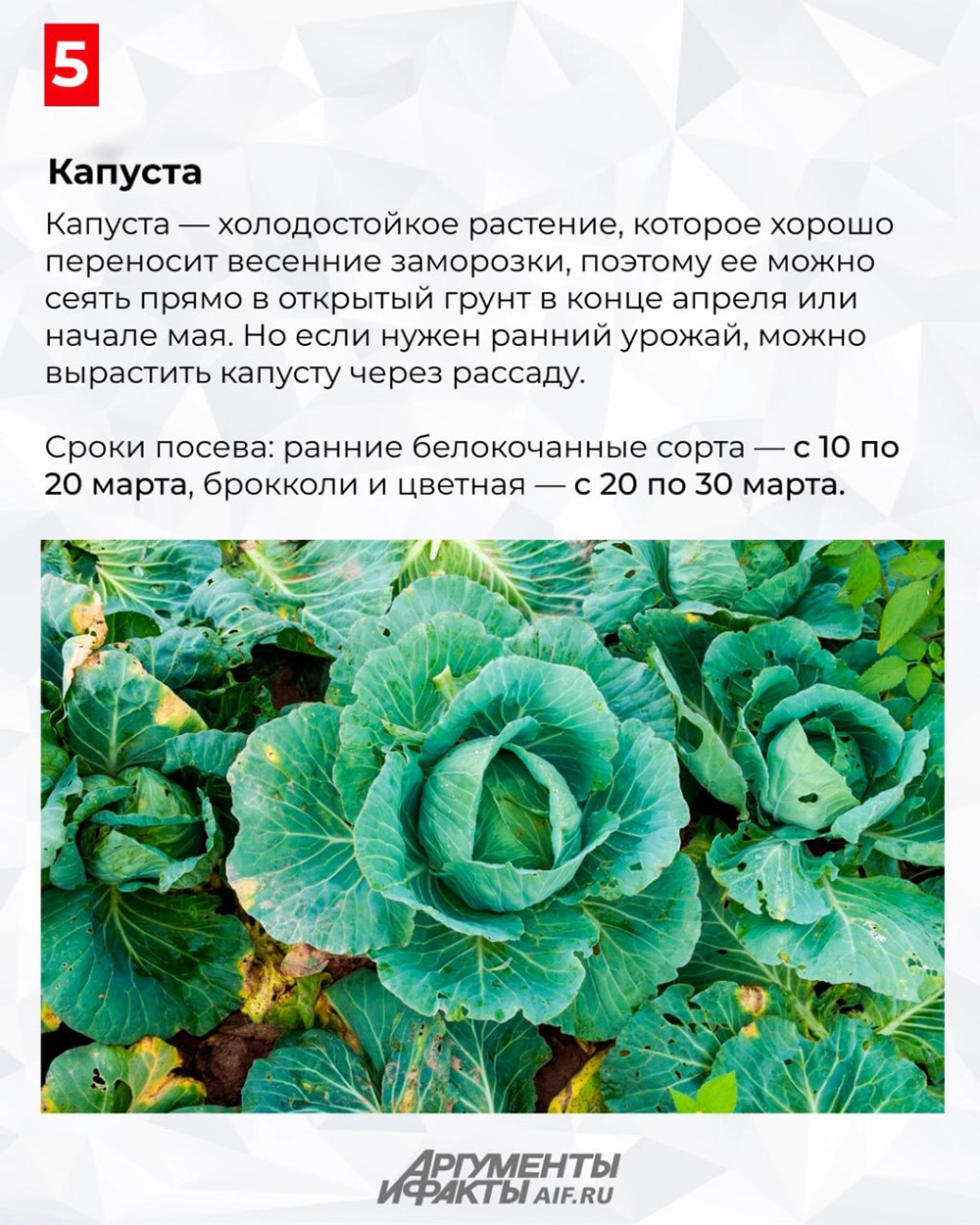 Нажмите для увеличения