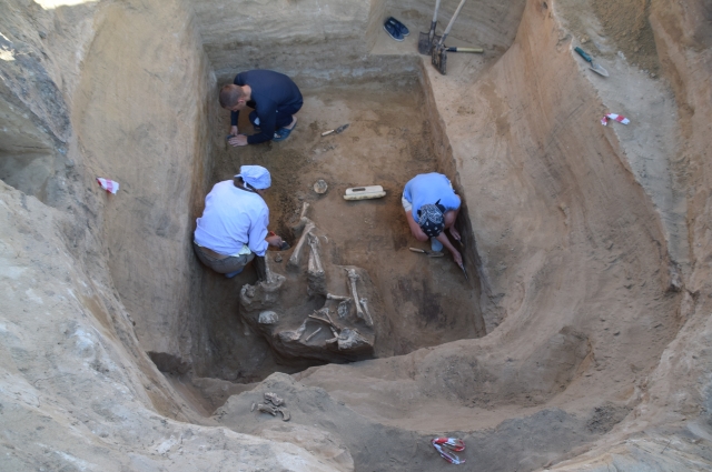 Процесс раскопок центрального погребения в Большом Болдыревском кургане. 
