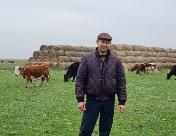 Владимир Иванча – глава крестьянско-фермерского хозяйства, которое занимается производством говядины на Дону.