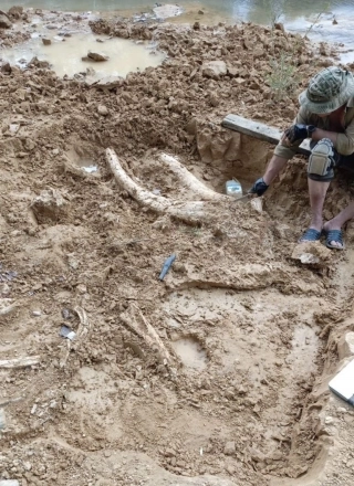 Кликните, чтобы развернуть.