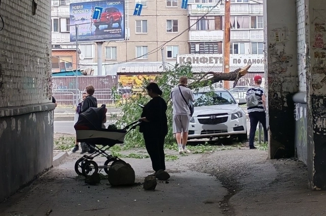Упавшее дерево на проспекте Победы.