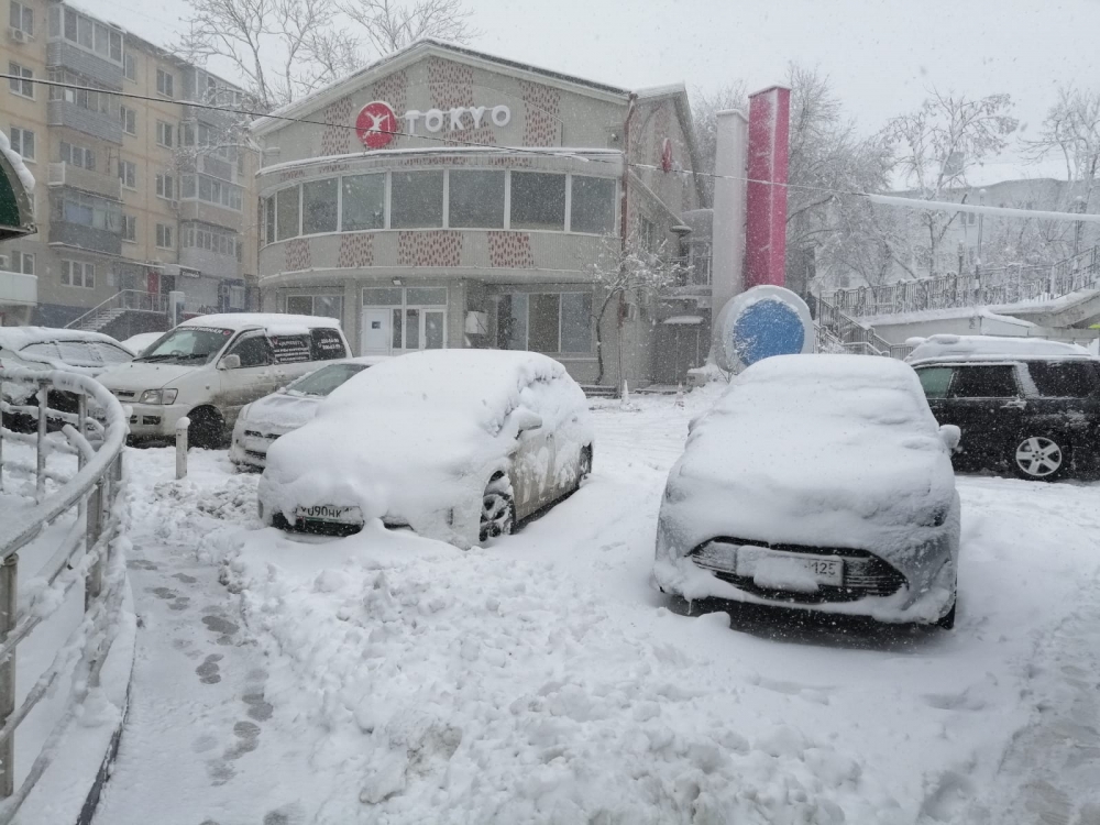 Автомобили занесло снегом 