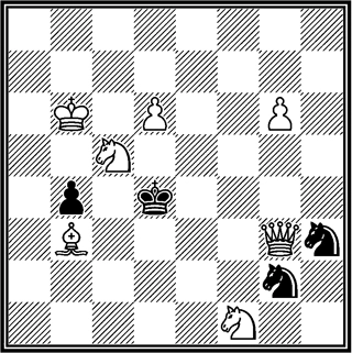 № 13. Мат в два хода