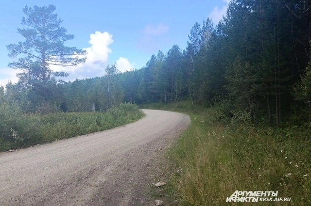 Дорога