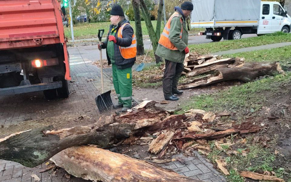 Циклон Лотар