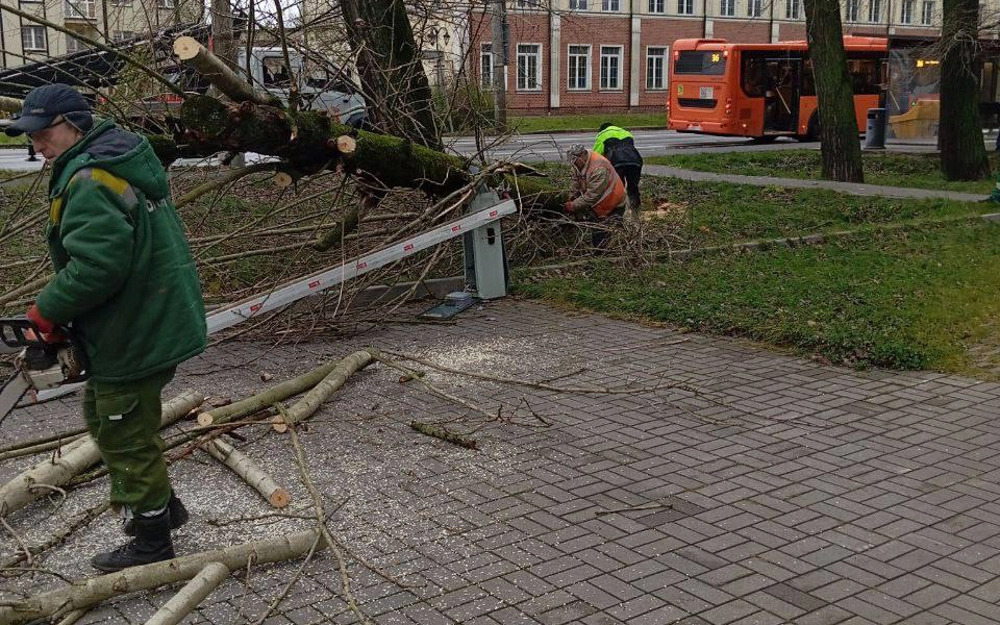 Циклон Лотар