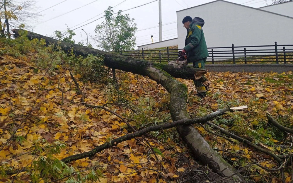 Циклон Лотар