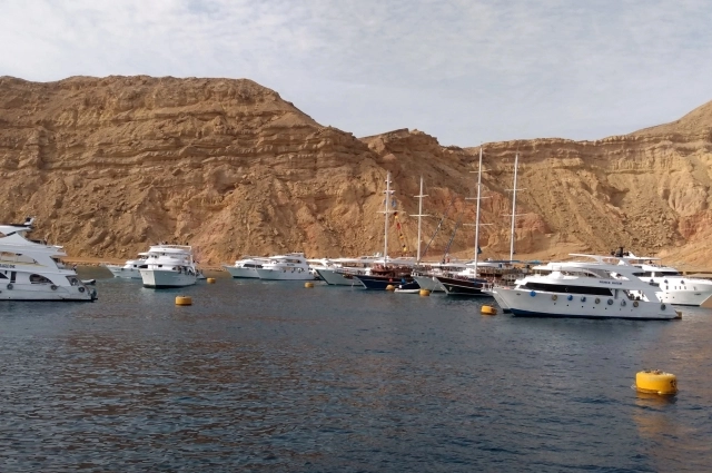 Красное море открывает богатый подводный мир.