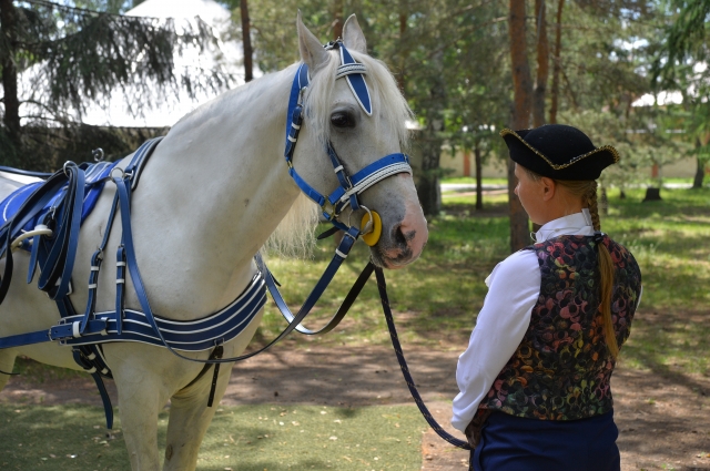 В перерывах между увлекательными мероприятиями можно было покататься на лошадях.
