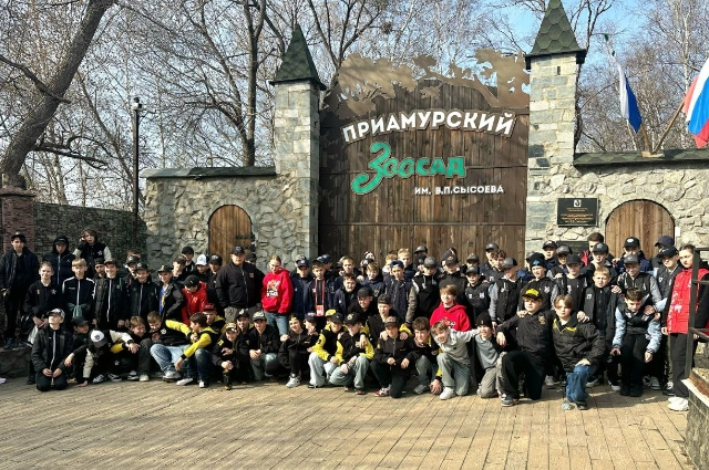 Юные хоккеисты в Зоосаде