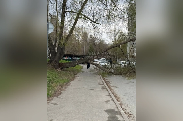 Спасатели советуют не выходить из дома без причины.