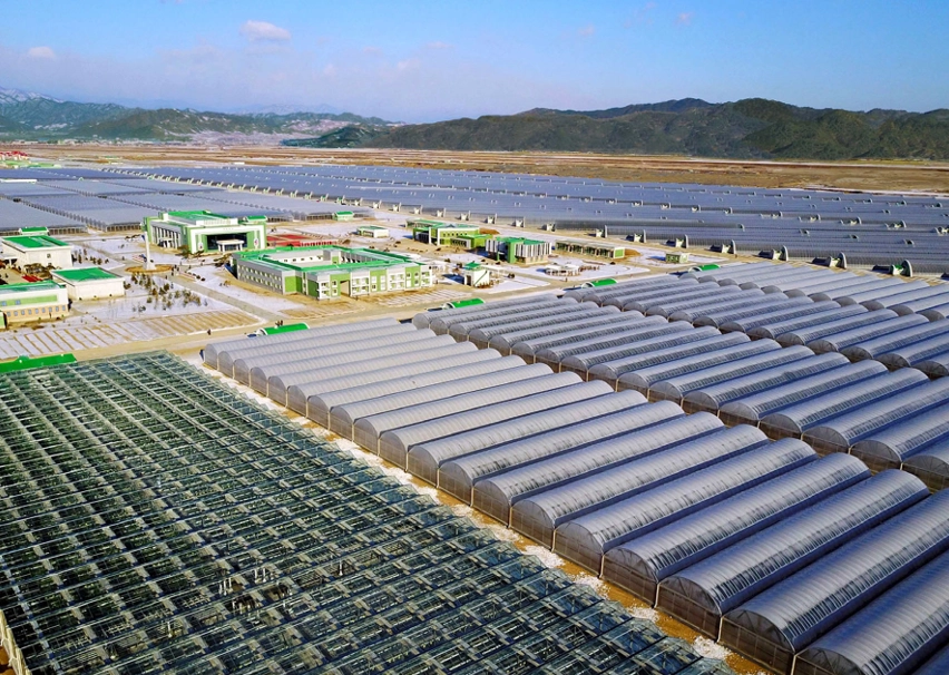 Чунпхёнское тепличное хозяйство в провинции Северный Хамгён.