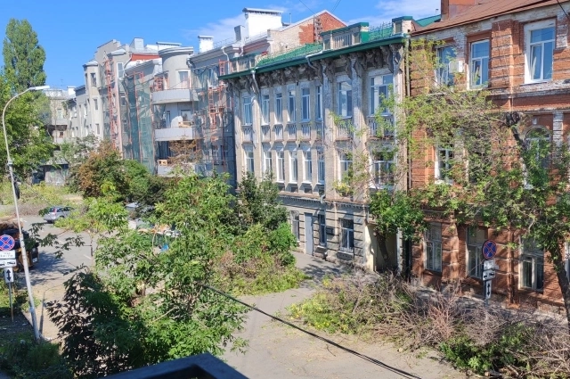 Последствия вырубки на ул. Степана Разина.
