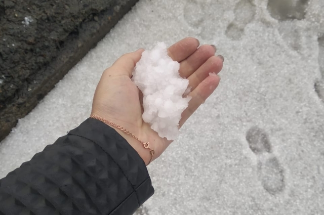 «Можно снежки лепить и играть в них!», — делятся удивленные новосибирцы.