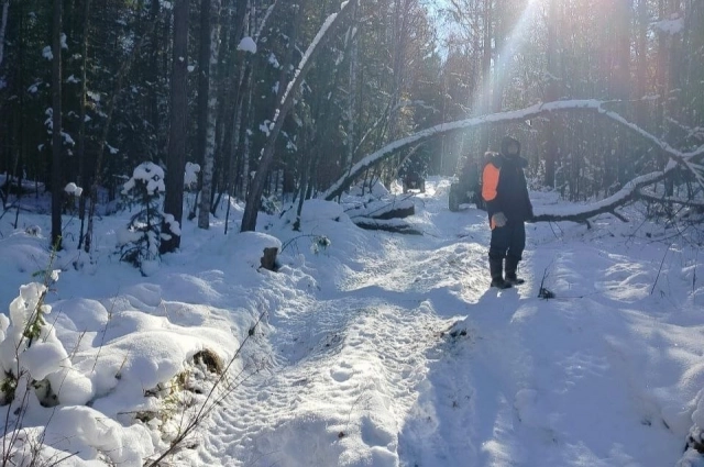 Следов Усольцевых в тайге не нашли.