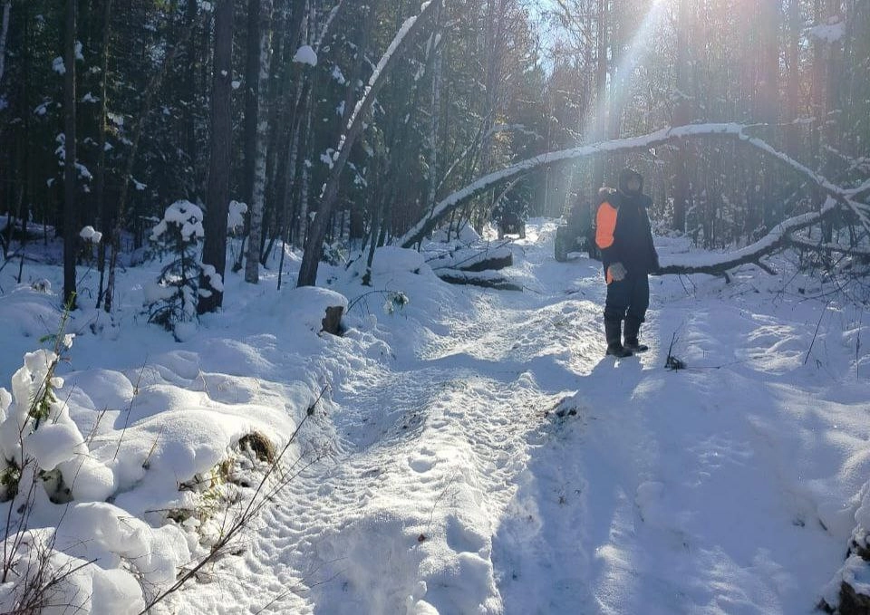 поиски Усольцевых